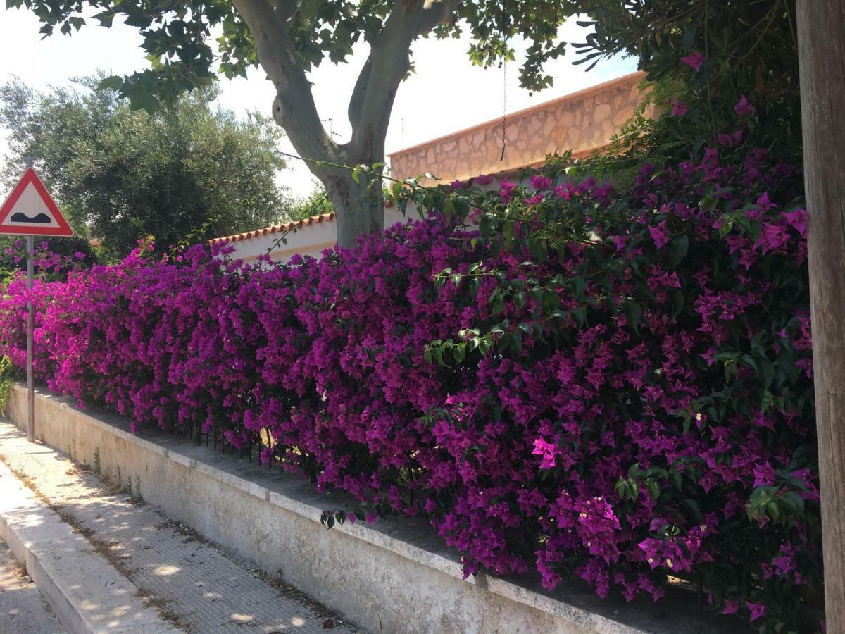 Villetta Sole Bari Dış mekan fotoğraf